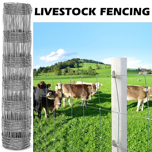25m long 80cm - 80cm, high