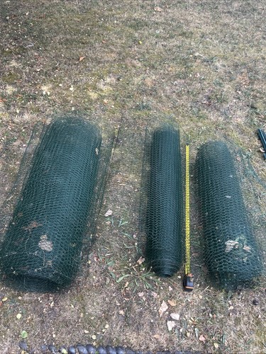 Chicken wire fencing high x - chicken,