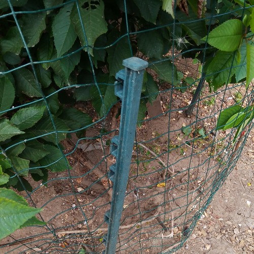 26ft chicken wire - wire, fencing