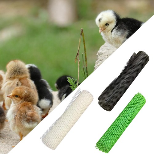 Chicken wire fence mesh - chicken,